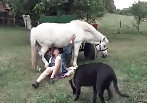Gorgeous blowjob in the farm bestiality