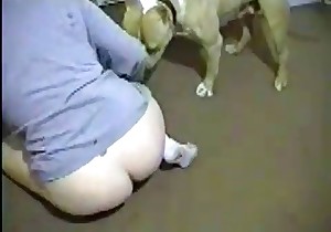 Passionate animal sex session