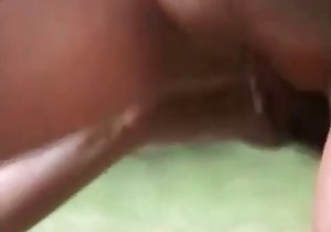 Stunning horse sex action with nasty zoophiles