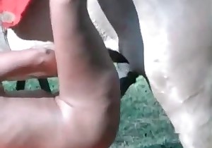 Farm bestiality action with a cock sucking zoophile