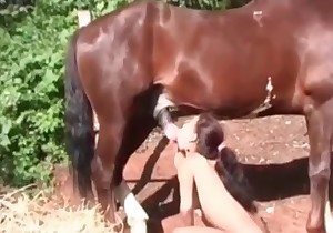 Mare is screwing hard a perverted zoophilic slut