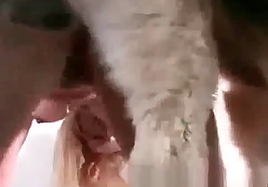 Doggy is getting in the dirty bestiality