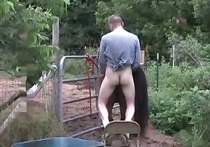Farm bestiality with anal sex