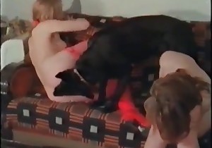 Animality porn session with an outstanding zoophile