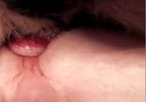 Close-up anal for a kinky zoophile