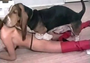 Cute lustful zoophile fucked by a small dog