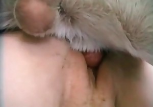 Sensual and hot bestiality sex