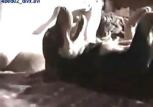 Hardcore sex of my lovely trained pet