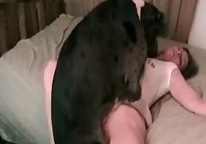 Dirty sex of a doggy