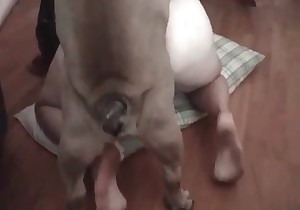 Foxy bitch is licking this doggy