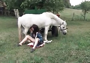 Gorgeous blowjob in the farm bestiality