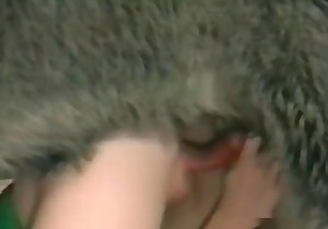 Lads in the nasty bestiality