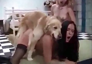 Tyke is nailing this perverted slut