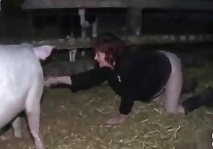 Accurate pussy licked by a nice pig