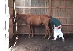 Dirty bestiality sex of a sweet small pony