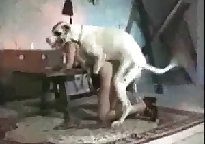 Tight cunt fucked by lovely trained doggy on camera