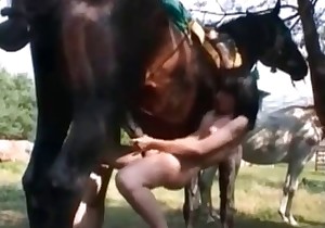 Stunning horse sex action with nasty zoophiles