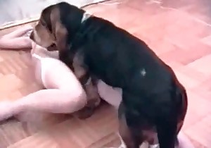 Pigtailed slut and sweetest doggy
