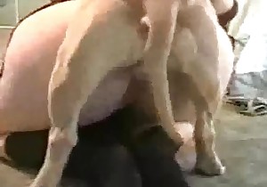 Tight cunt fucked hard by a small doggy