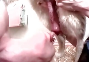 Gorgeous oral sex in the bestiality porn