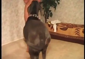 Fantastic amateur bestiality action