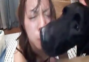 Dog is licking an Asian so freaking cute