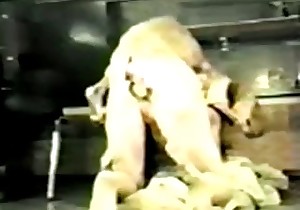 Good zoo porn action with a doggy