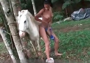 White pony in the nasty bestiality