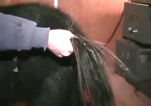 Black horse fucked by a lovely farmer