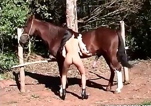 Horse is watching a perfect striptease