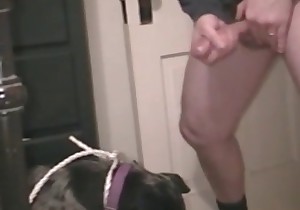 Good bestial action with my doggy