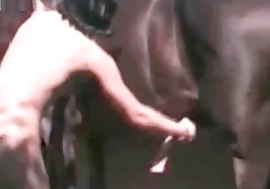 Massive cumshot provided by a farm horse