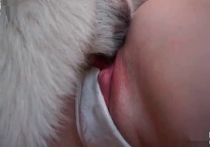 White panties slut gaped by a dog