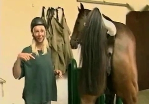 Brown horse is gonna get a royal handjob