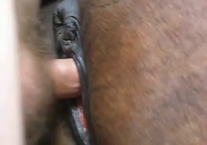 Dude fucked his farm horse from behind