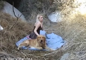 Playful blonde babe and her impressive dog love hard sex