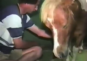 Guy with a submissive ass fucks a horny pony