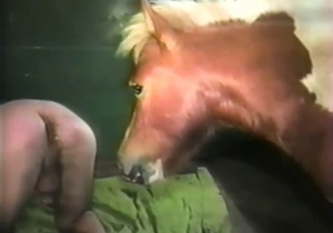 Guy with a submissive ass fucks a horny pony