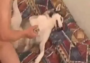 Dude grips his beast in place and fucks it hard
