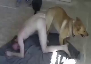 Great zoo sex with a round-assed zoophile