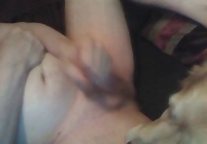 My cock is getting licked by a doggy