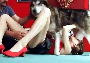 Awesome action with a lovely husky