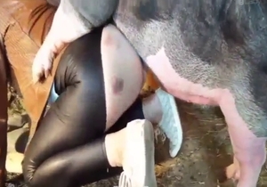 Leather pants girl loves boar bestiality sex