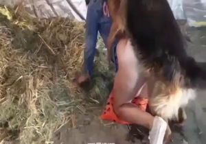 Hard zoophile porn with doggystyle in denim