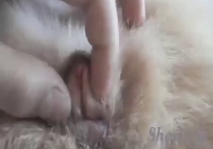 Shepherd dog featured in a hot zoo sex scene