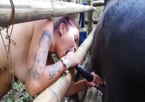 Casually kinky babe wants to suck off a horse