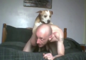 Dude has to deal with two dogs on his ass