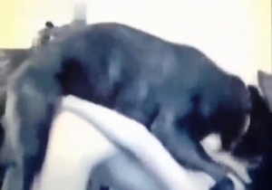 Zoo sex with low quality but crazy fucking