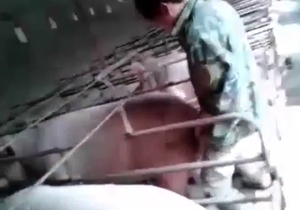 Outed as a pig fucker by this leaked porn video