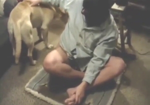 Dude's asshole stretched by a dog on all fours